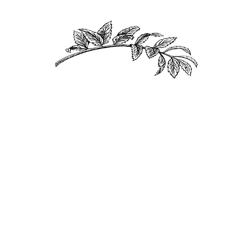 Berza